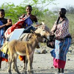 非洲的新太陽能勇士:馬賽婦女