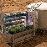 史上首次 太空員食用種植在外太空的糧食