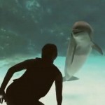 你有試過用舞蹈吸引海豚的注意嗎!?
