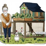 食二糧友雞生活計畫  幫樂齡族蓋座小雞舍