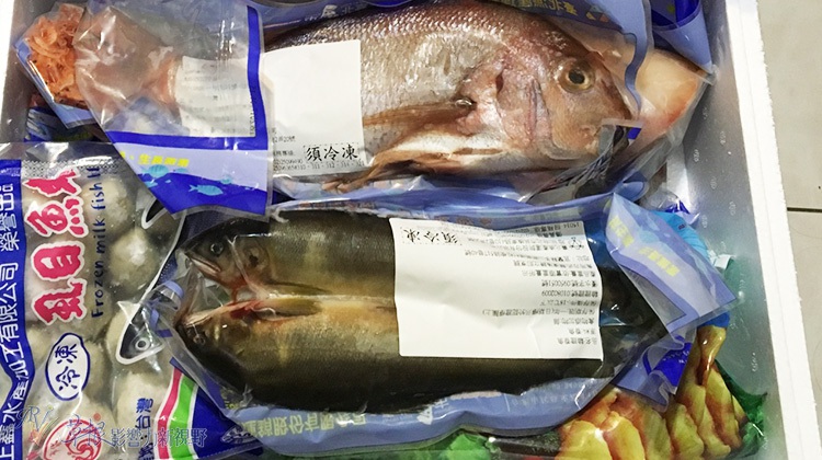 寒害重創養殖漁業　春節魚價飆漲