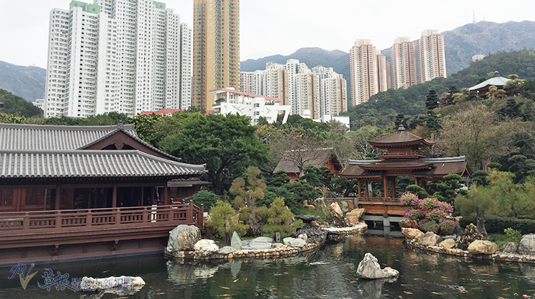 南蓮園池——藏在香港鬧市的世外桃源