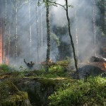 《劉三專欄》如何面對末日災難警訊 ─從加拿大森林大火說起