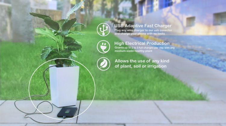 盆栽也可以發電！Bioo為手機使用者提供最「綠」電力