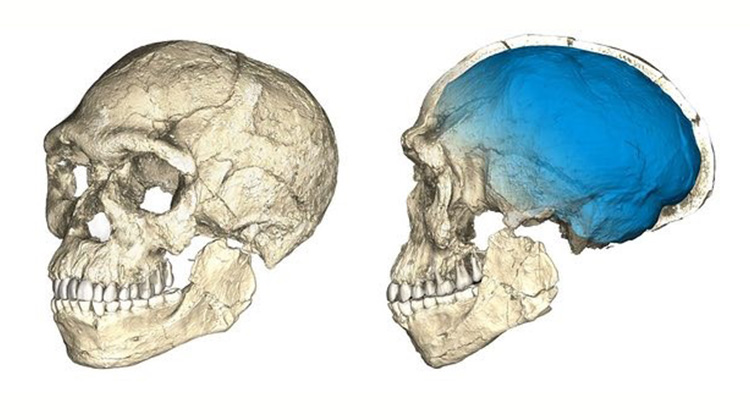30萬年前的頭骨可以改寫人類起源的故事