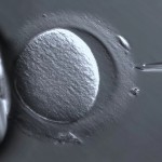 科學家編輯胚胎，讓人類也能被設計