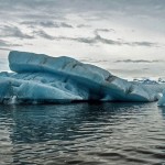 南極水溫升1度 生物倍速增長