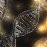 DNA可以移植嗎？