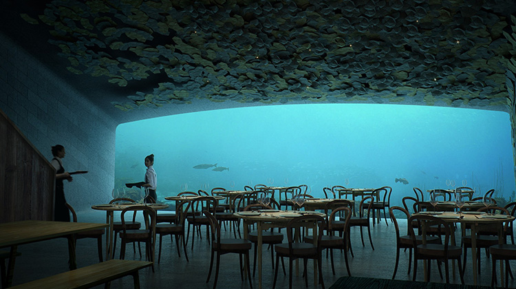 【To Do List】太浪漫了！在魔幻美景的海底餐廳 UNDER 裡和情人共進燭光晚餐