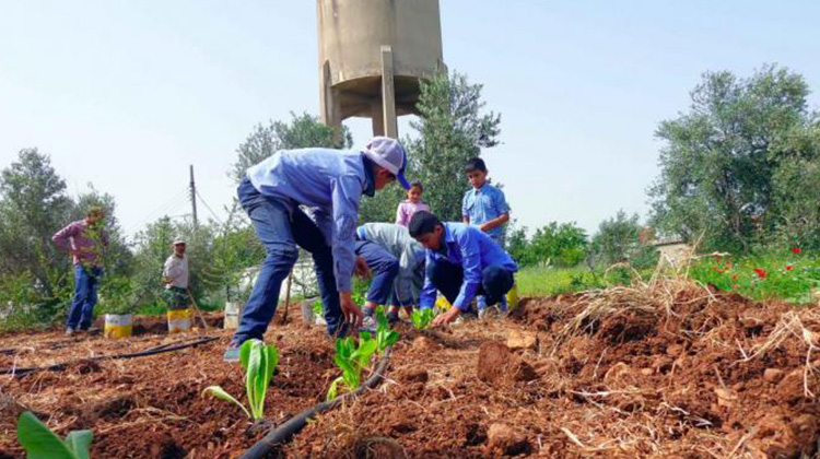 敘利亞小學打造「可以吃」的遊樂場，讓在地菜園成為飢餓孩童的希望