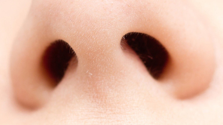 你的鼻子可以揭示你的情緒