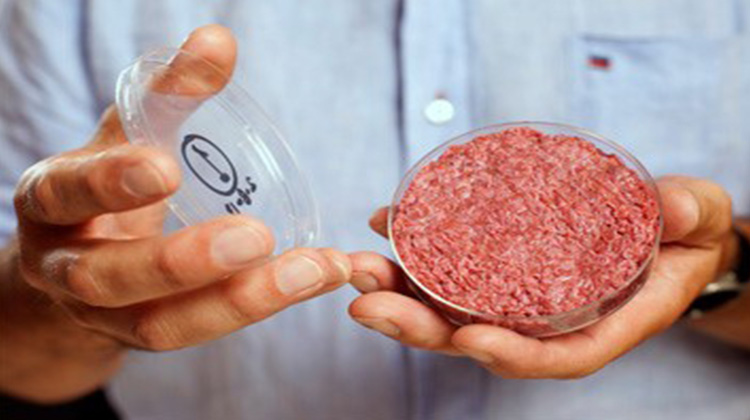 干細胞中可能會培育出肉嗎?