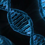 DNA的數字化，背後風險有多大？