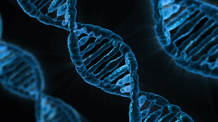 DNA的數字化，背後風險有多大？