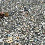 僅10條河流就包含了全球95%的海洋塑料