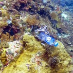 亞洲海域塑膠垃圾問題嚴重