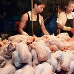 譚敦慈：傳統市場買雞肉安全嗎？