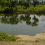 讓大自然幫忙儲水！72 歲工程師奶奶建「節約水壩」，改善印度乾旱困境