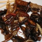 蟲蟲大餐--全球20億人愛吃蟲
