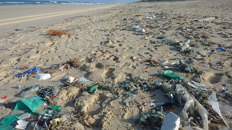 海洋塑膠污染程度遠超過想像