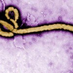 剛果民主共和國爆發埃博拉疫情