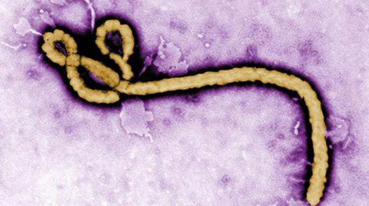 剛果民主共和國爆發埃博拉疫情