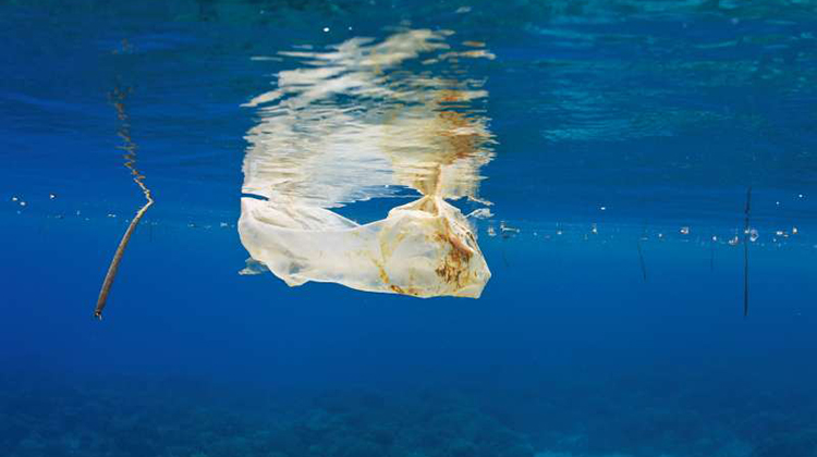 救救海洋！8000公里征程、180天考驗……法國泳將勒康特橫渡太平洋 呼籲世人正視塑膠污染