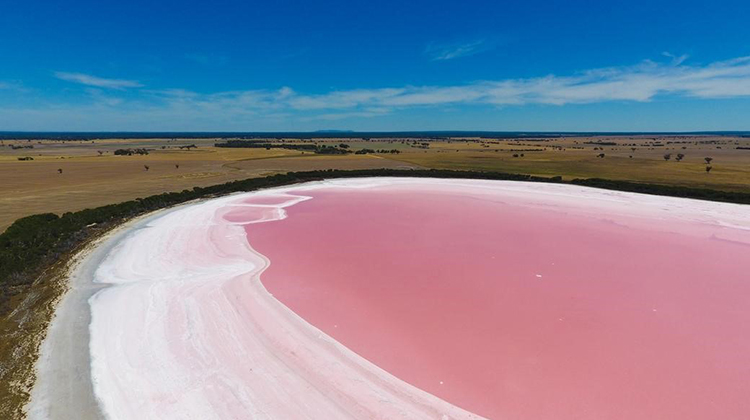 澳大利亞粉紅湖之謎
