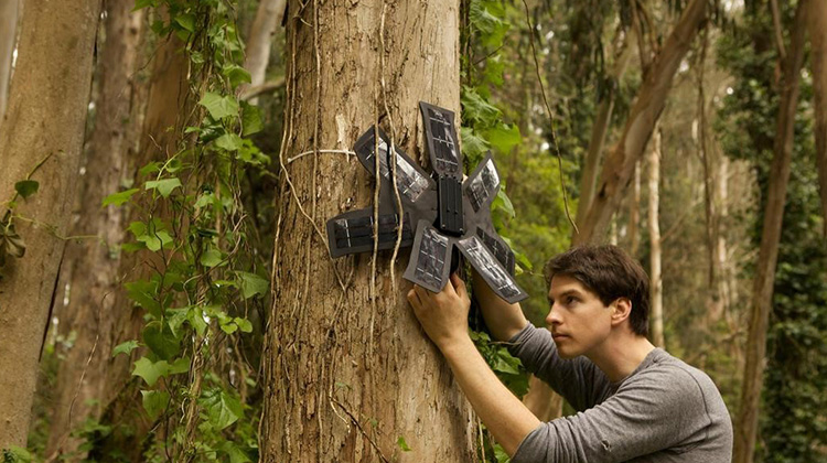 非營利組織使用舊手機拯救熱帶雨林