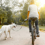 遛狗的運動效果驚人