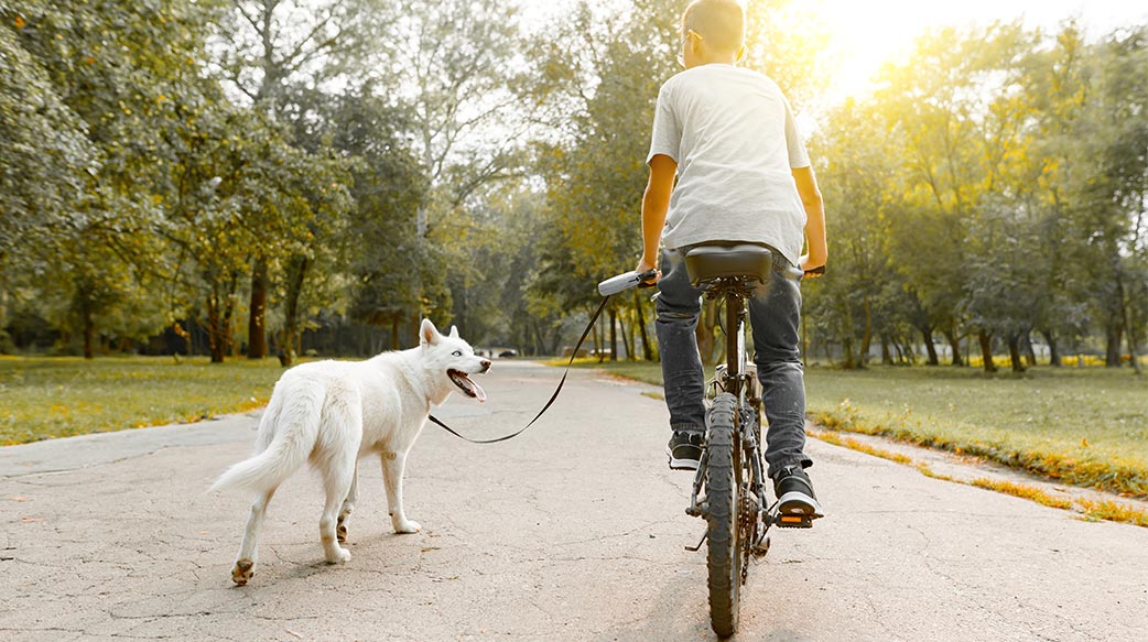 遛狗的運動效果驚人