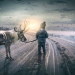 挪威北方的養鹿人捍衛傳統