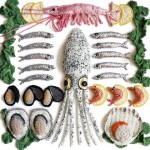 栩栩如生的海鮮，藝術家 Kate Jenkins 的勾針織藝術