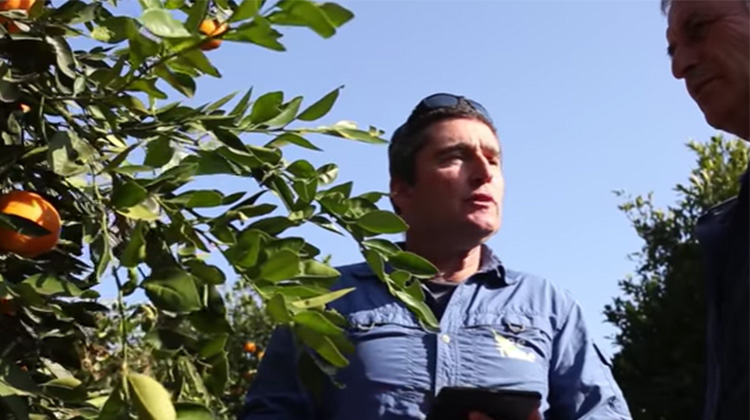 把電腦科技帶進果園 以色列首推「智能」樹木系統保護水果