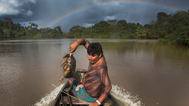 亞馬遜部落打贏官司，拯救雨林