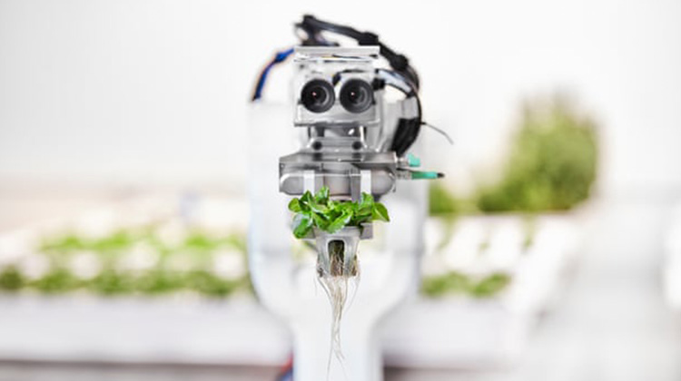 AI技術延伸 : 機器人農夫