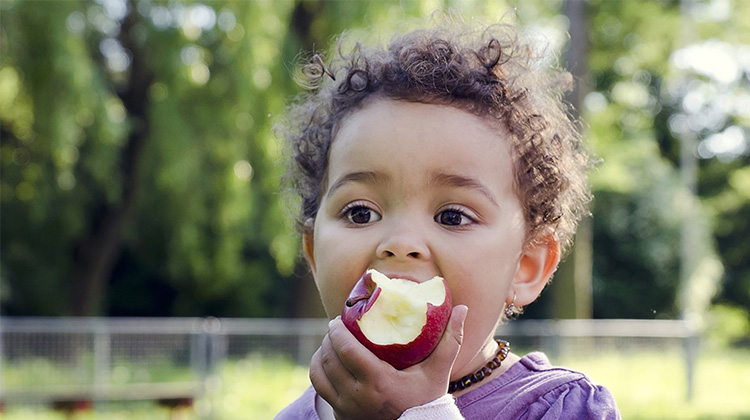 有機蘋果比一般蘋果有更多的有益菌