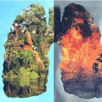 #PrayForTheAmazon 「地球之肺」火在燒　G7及全球各界領袖關注空前國際危機