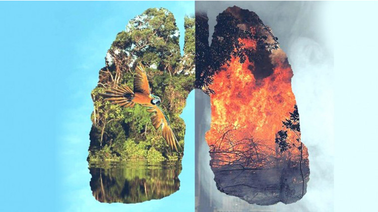 #PrayForTheAmazon 「地球之肺」火在燒　G7及全球各界領袖關注空前國際危機