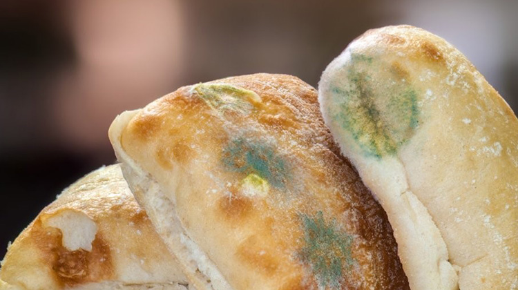 如果你吃了發黴的麵包怎麼辦？