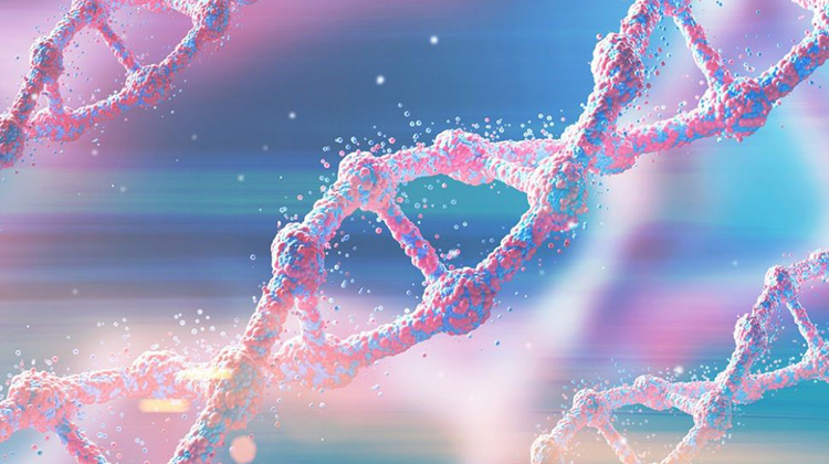 DNA只是100多萬個可能的“遺傳分子”之一