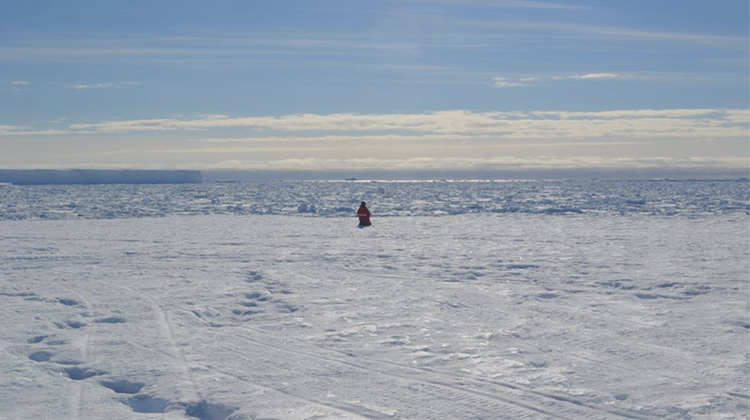 孤獨的南極探險者，大腦正在萎縮？