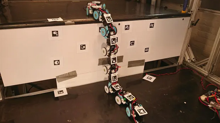 科學家研發救災機器人蛇