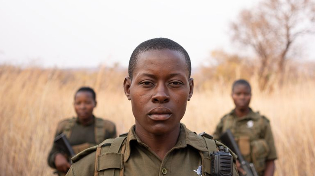 辛巴威，全女性組成的動物巡守隊
