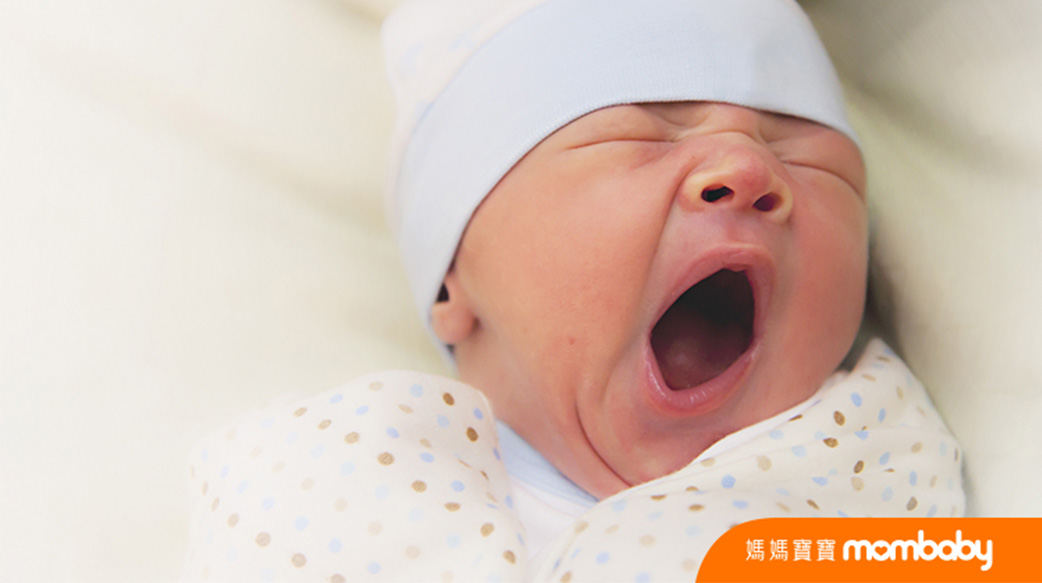 早產兒常見併發症有哪些？爸媽掌握四重點，照護脆弱的早產寶寶