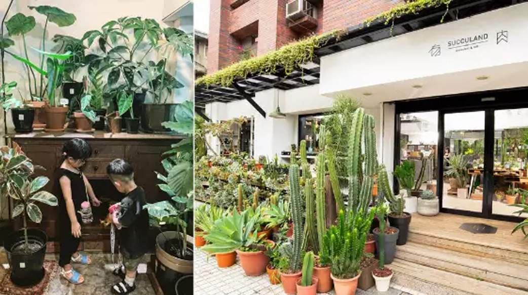 【喧囂城市裡的舒心解方】逛台北 3 間植栽專賣店，為自己的家造一隅「綠色秘境」