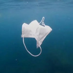 【海龜吃的下個垃圾就是口罩】在海灘找出 10 萬個防疫垃圾！專家：口罩造成海洋污染