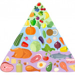 從食物金字塔到我的餐盤，吃出健康的指南針