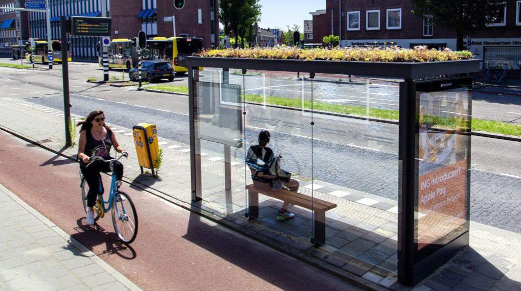 天氣好熱怎麼辦？荷蘭在公車候車亭上種多肉植物，蓋「垂直森林」替城市降溫