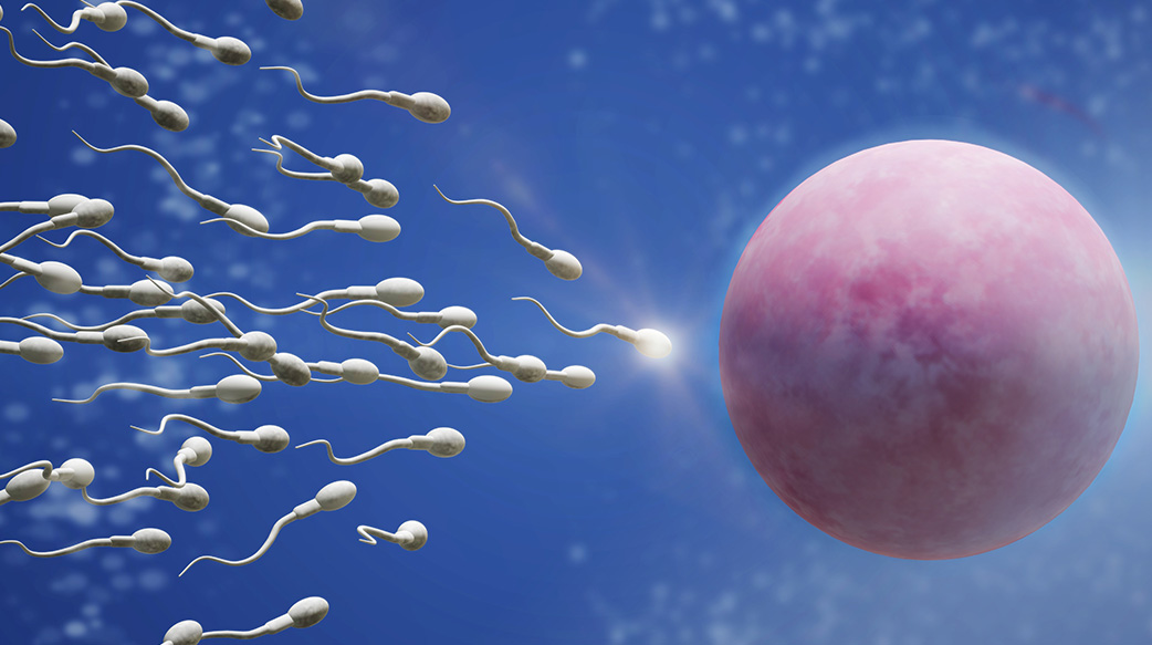 寶寶 背景 生物 生物學 分娩 細胞 競爭 概念 脫氧核糖核酸 雞蛋 進化 女 沃 生育能力 遺傳 健康 人的 生活 男性 醫 醫藥 微 顯微鏡 顯微鏡 核 親 懷孕 給予 複製 研究 科學 種子 勝利者